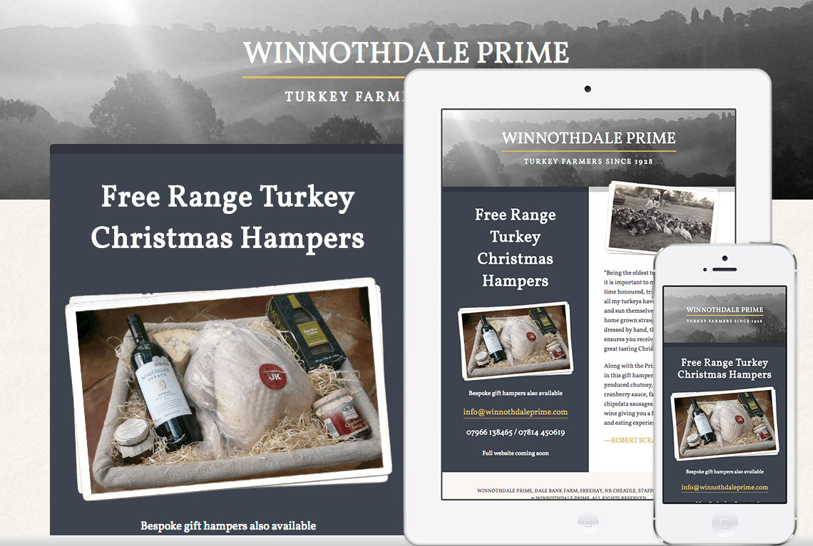 Winnothdale Prime One page responsive web design - Winnothdale Prime