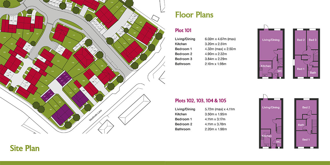 Guinness Homes Brochure design - Floor plan illustrations