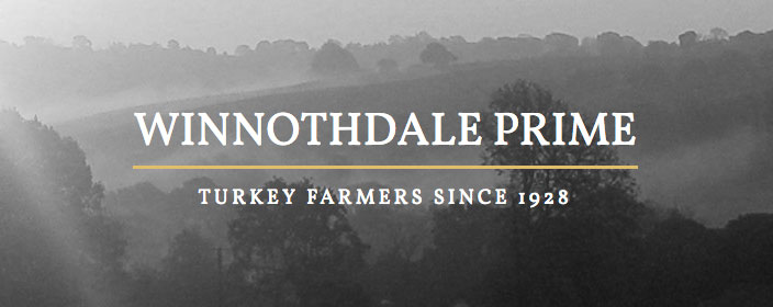Winnothdale Prime Logo design - Winnothdale Prime