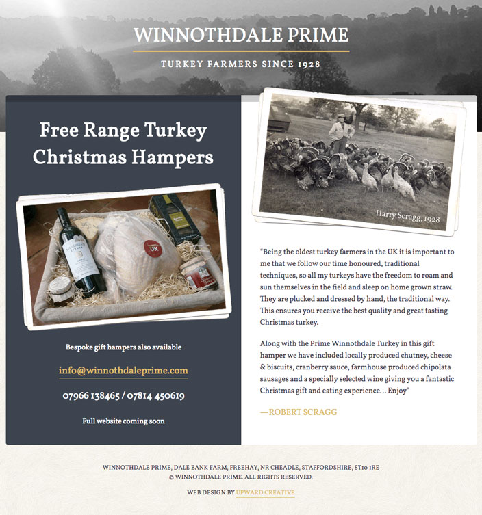 Winnothdale Prime Single page responsive web design - Winnothdale Prime