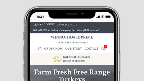 Winnothdale Prime Turkeys responsive web design case study